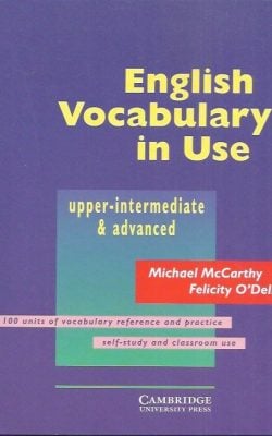 English vocabulary in use