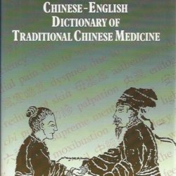Chinese-English dictionary chinese medicine