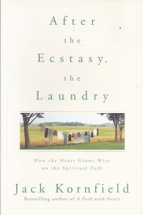 After the ecstasy the laundry