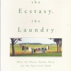 After the ecstasy the laundry