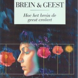 Brein & Geest