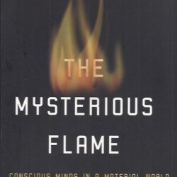 The mysterious flame