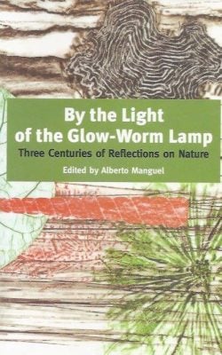 By the light of the glow-worm lamp