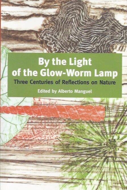 By the light of the glow-worm lamp