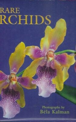 Rare Orchids