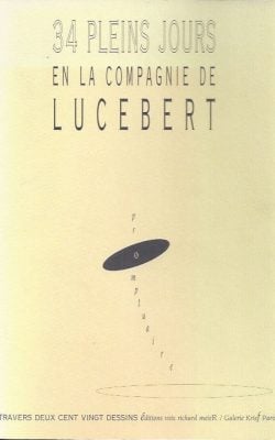 34 Pleins jours en la compagnie de lucebert