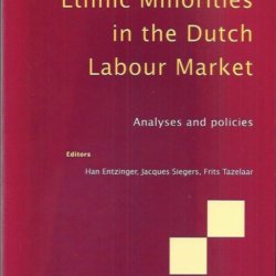 Immigrant ethnic minorities in the Dutch labour market