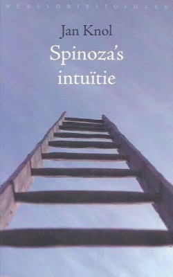 Spinoza's intuïtie