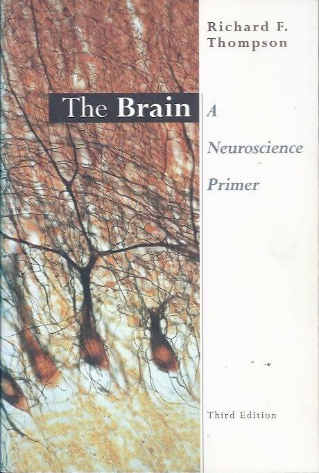 The brain a neuroscience primer
