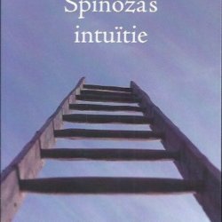 Spinoza's intuïtie