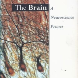 The brain a neuroscience primer