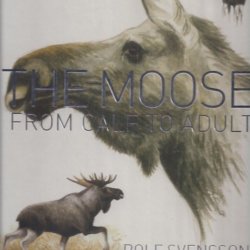 The Moose from calf to adult