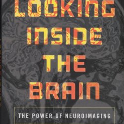 Looking inside the brain