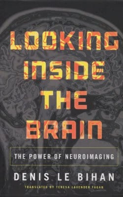 Looking inside the brain