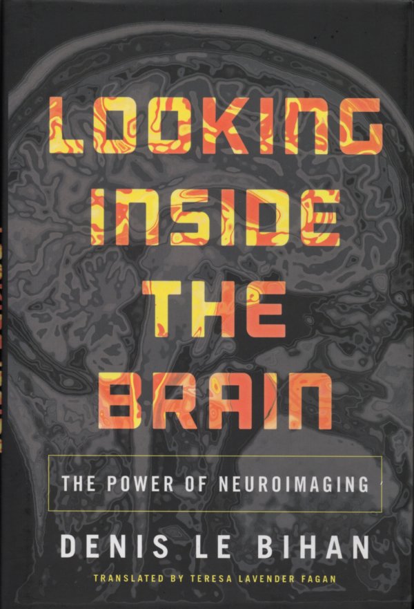 Looking inside the brain