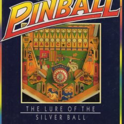 Pinball the lure of the silver ball