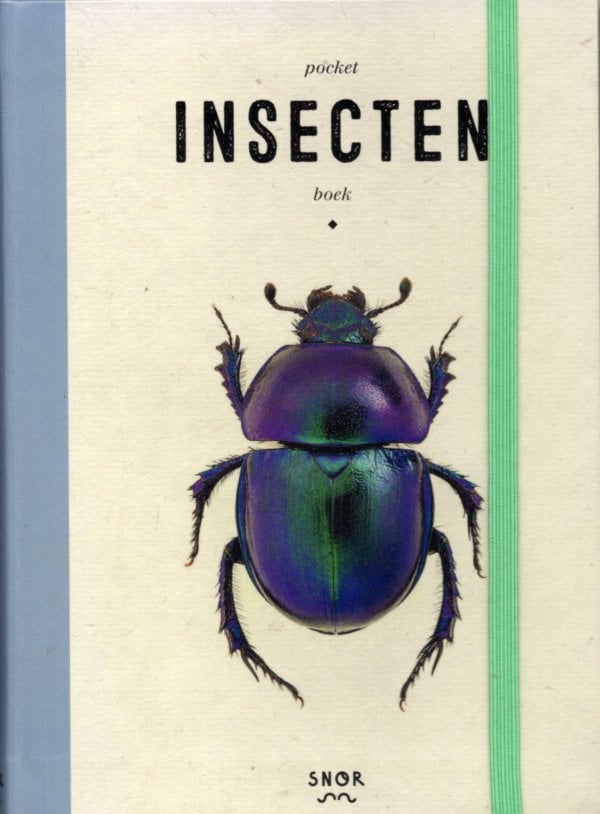 Pocket Insecten boek