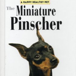 The miniature pinscher