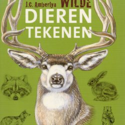 Wilde dieren tekenen