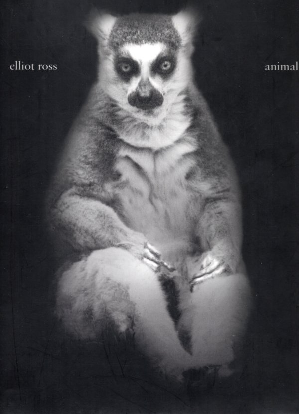 Elliot Ross animal