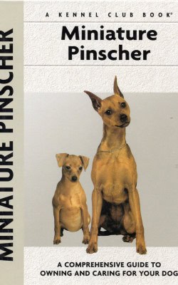 Miniature Pinscher Charlotte Schwartz