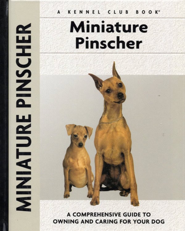 Miniature Pinscher Charlotte Schwartz