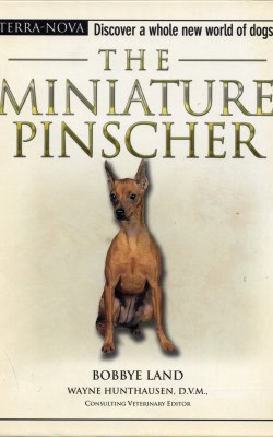 The miniature Pinscher