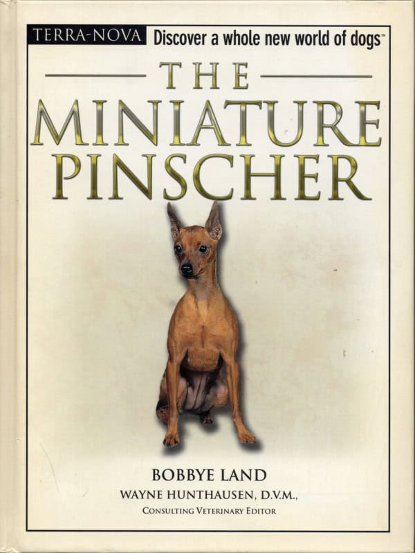 The miniature Pinscher