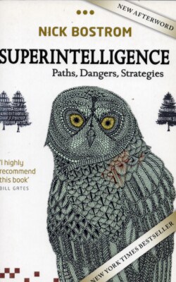Superintelligence
