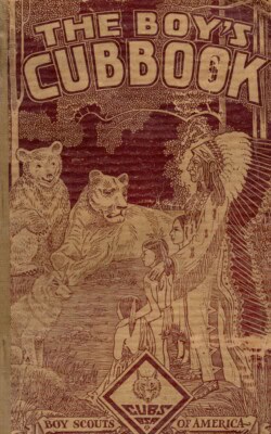 The boys cubbook