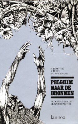 Pelgrim naar de bronnen hoogtepunt uit de spiritualiteit