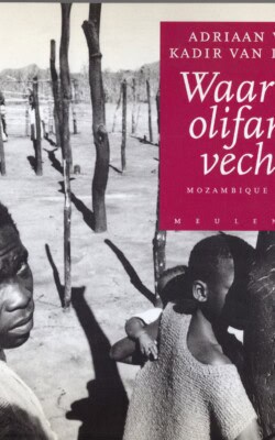 Waar twee olifanten vechten