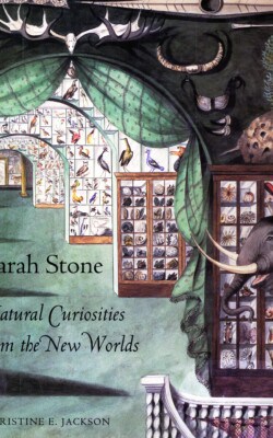 Sarah Stone Natural curiosities from the new world