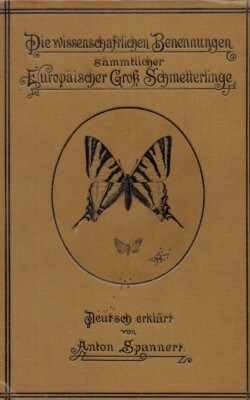 Europäischer Groß Schmetterlinge