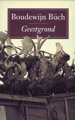 Geestgrond