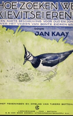 Hoe zoeken we Kievitseieren?
