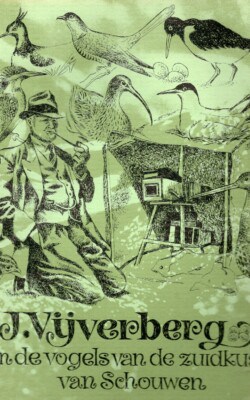 J. Vijverberg en de vogels van de zuidkust van Schouwen