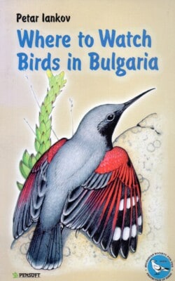 Where to watch birds in Bulgaria