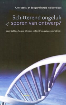 Schitterend ongeluk of sporen van ontwerp