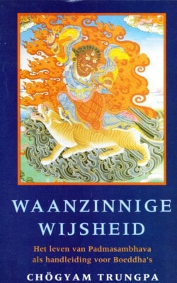 Waanzinnige wijsheid