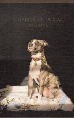 Charlotte Dumas Paradis