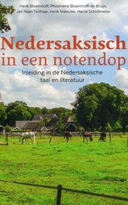 Nedersaksisch in een notendop