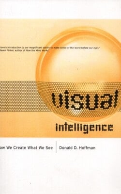 Visual intelligence